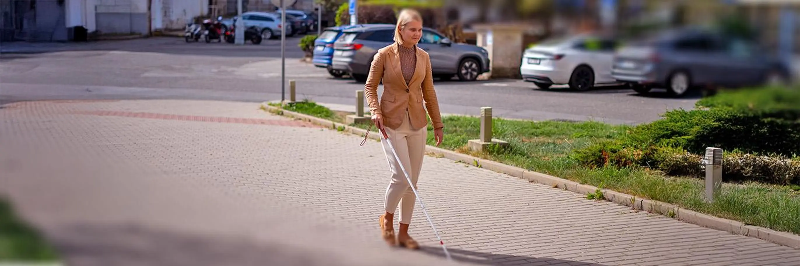 Kr&aacute;čej&iacute;c&iacute; nevidom&aacute; žena s b&iacute;lou hol&iacute;